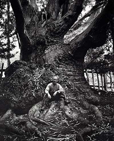 Ansel Adams: Edward Weston, Carmel Highlands, California, 1945