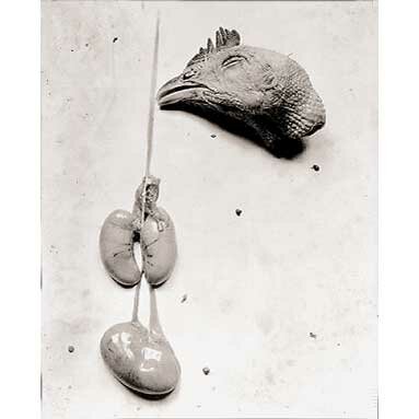 Frederick Sommer: Chicken 1939