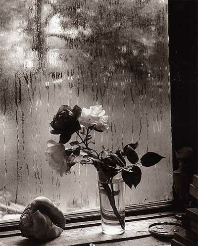 Josef Sudek: Photographs