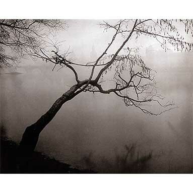 Josef Sudek: Photographs