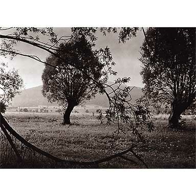 Josef Sudek: Photographs