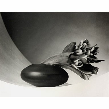 Robert Mapplethorpe: Tulips, 1987