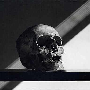 Robert Mapplethorpe: Skull, 1988