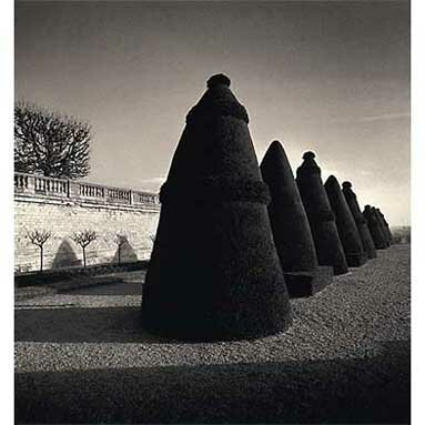 Michael Kenna: Atget's Trees, Saint-Cloud, France, 1996