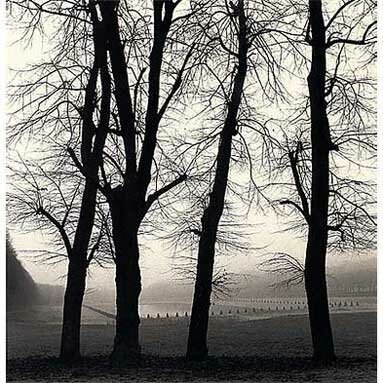Michael Kenna: Park Perspective, Marly, France, 1996