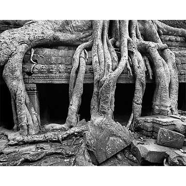 Peter Gasser, Photography: Ta Prohm, Angkor, Cambodia, 1997