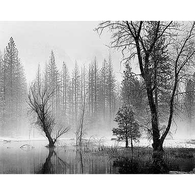 Peter Gasser Photography: High Sierra, California, 1979