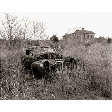 Steve Szabo Photography