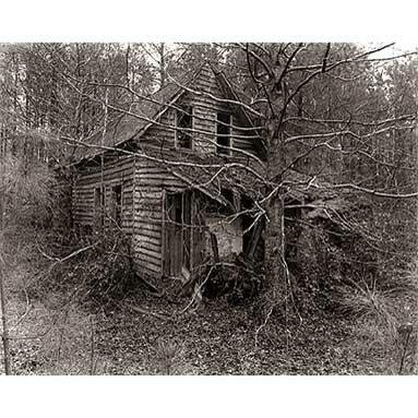 Steve Szabo Photography